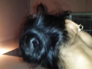 जापानी डबलमैशिन 2 से ...